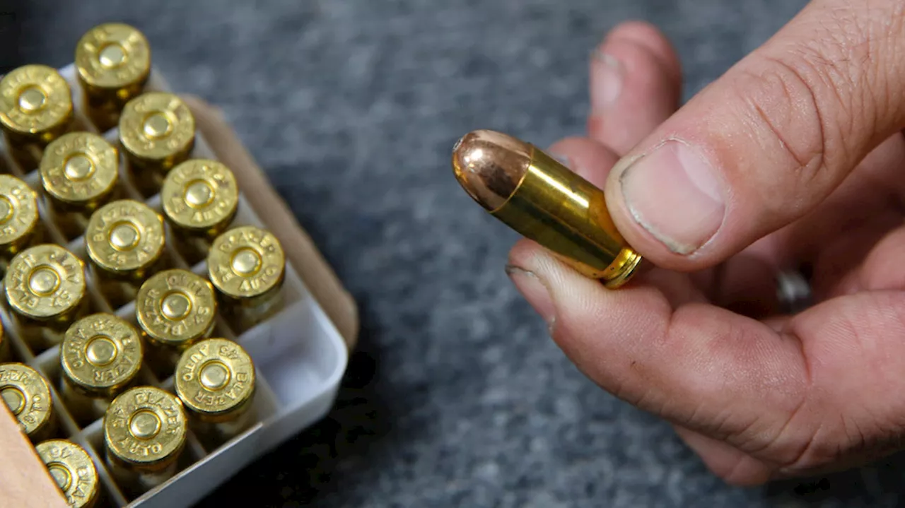 Debate Over Gun and Ammo Sales Following Mass Shootings