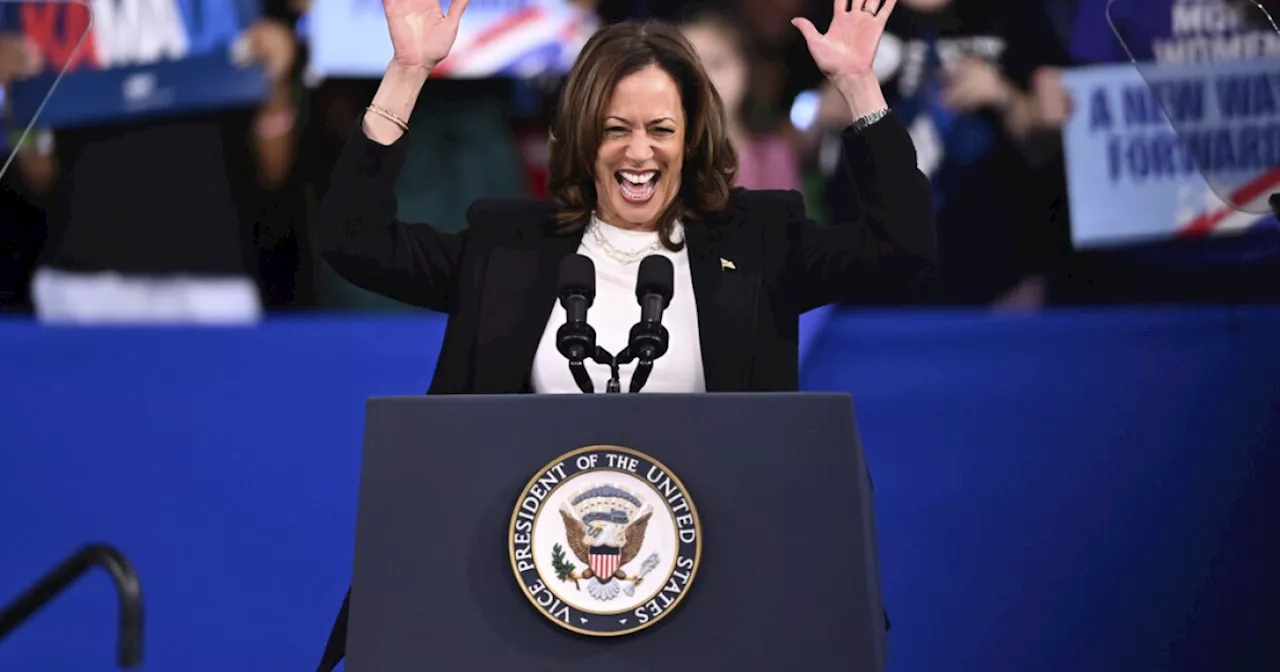 Ben & Jerry's unveils new Kamala Harris-inspired ice cream flavor