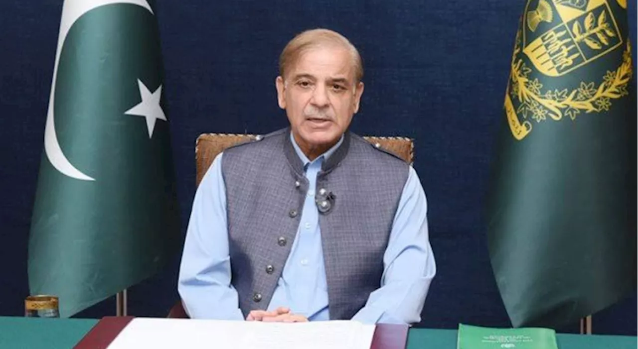 PM Shehbaz calls for reforms in international financial framework