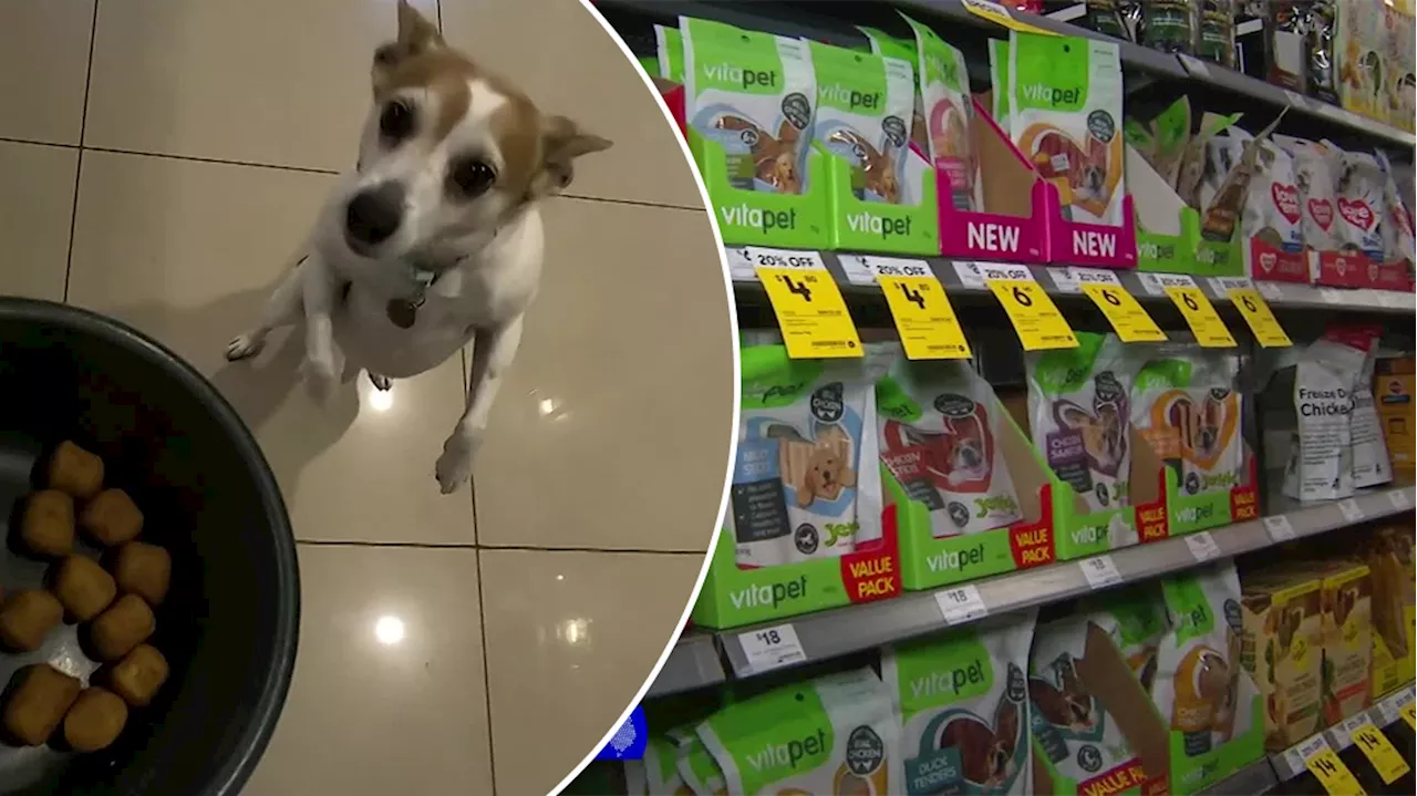 Pet owners urged to look afield to avoid paying top dollar