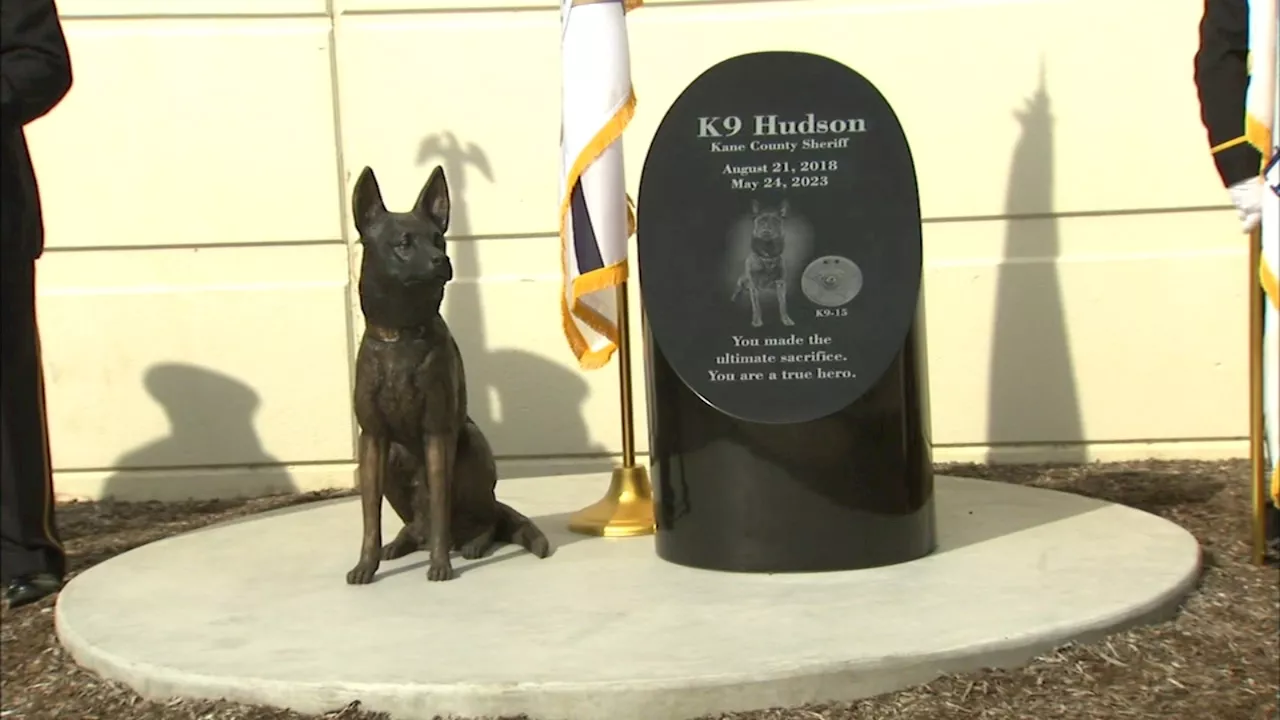 Kane County Sheriff's Office dedicates memorial for K-9 killed in Geneva shootout