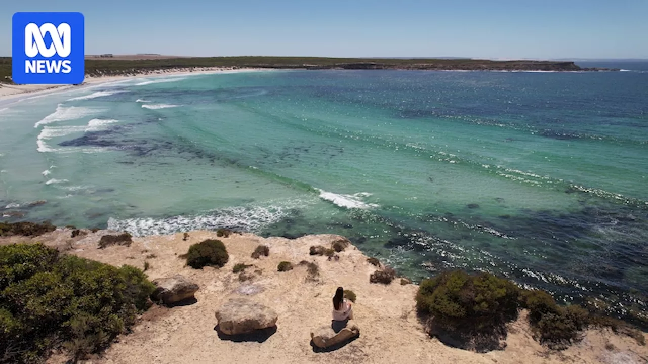 Stoke Festival organisers seek National Surf Reserve status for SA's Fishery Bay