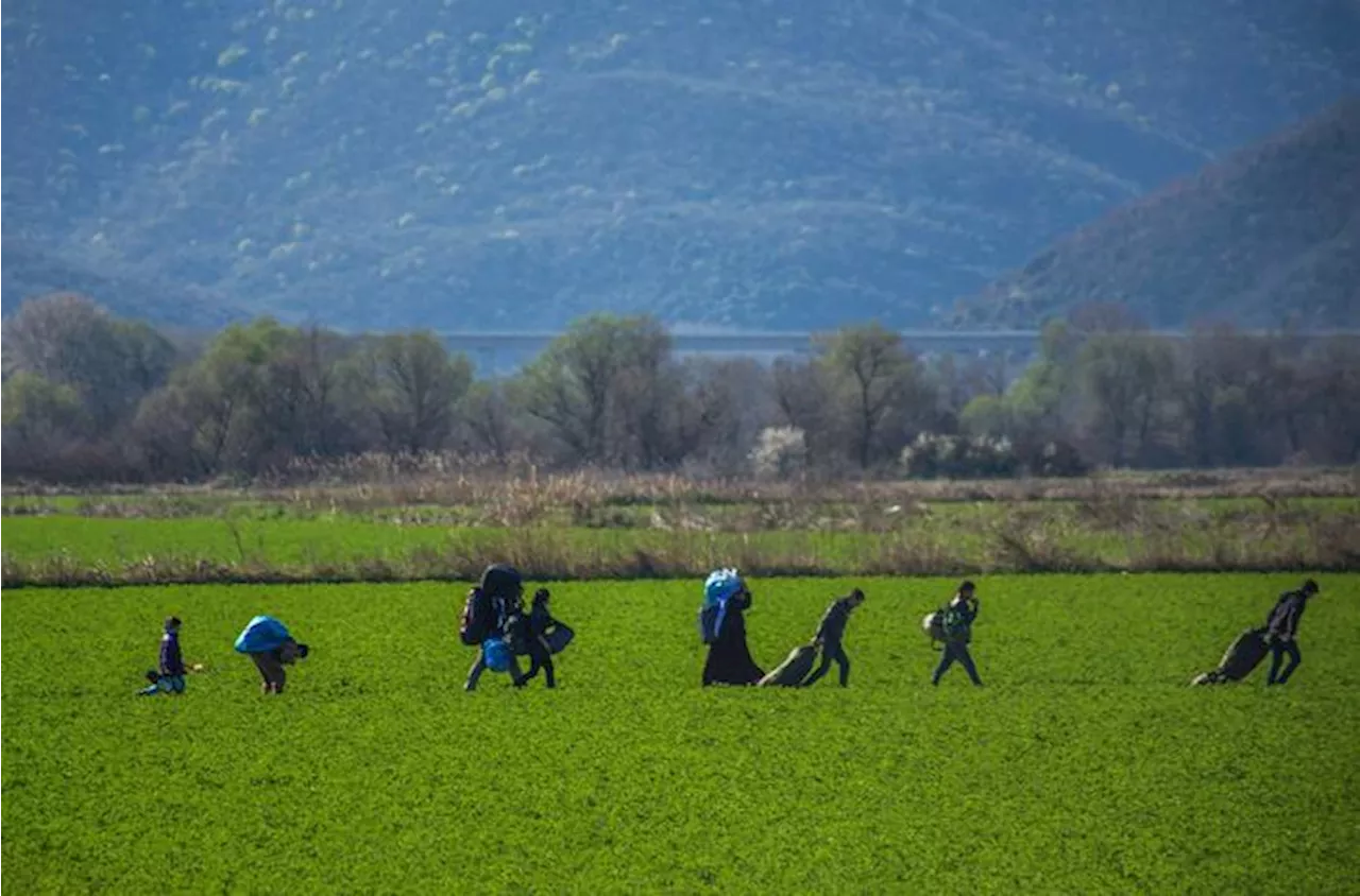 Frontex, -39% gli arrivi dei migranti nel 2024