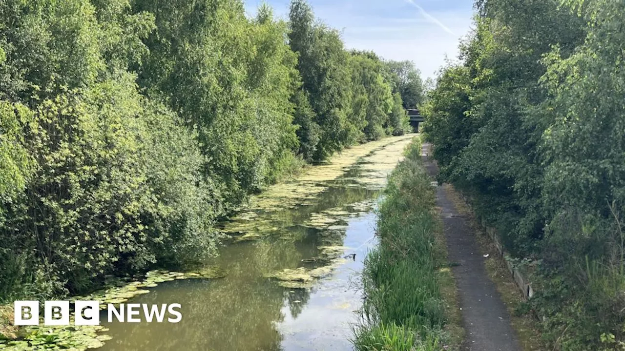 Canal Trust works to stop more pollution in Walsall canal