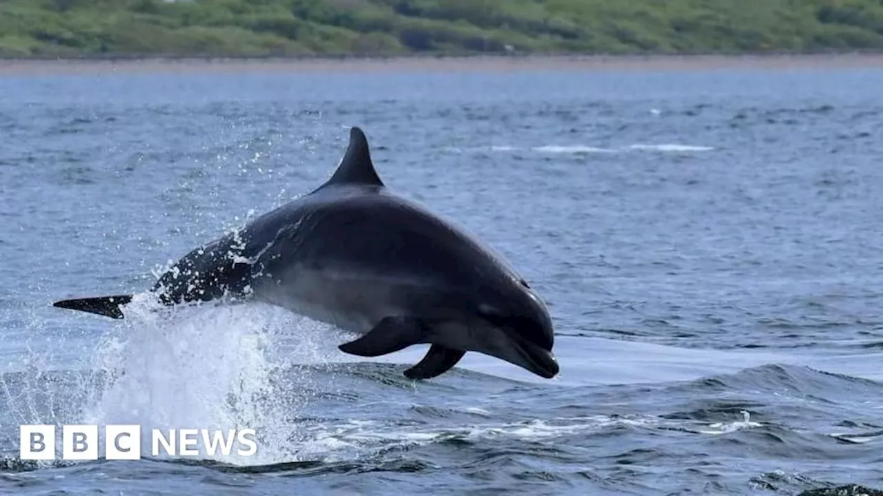 Your pictures of Scotland: Photographs from around the country