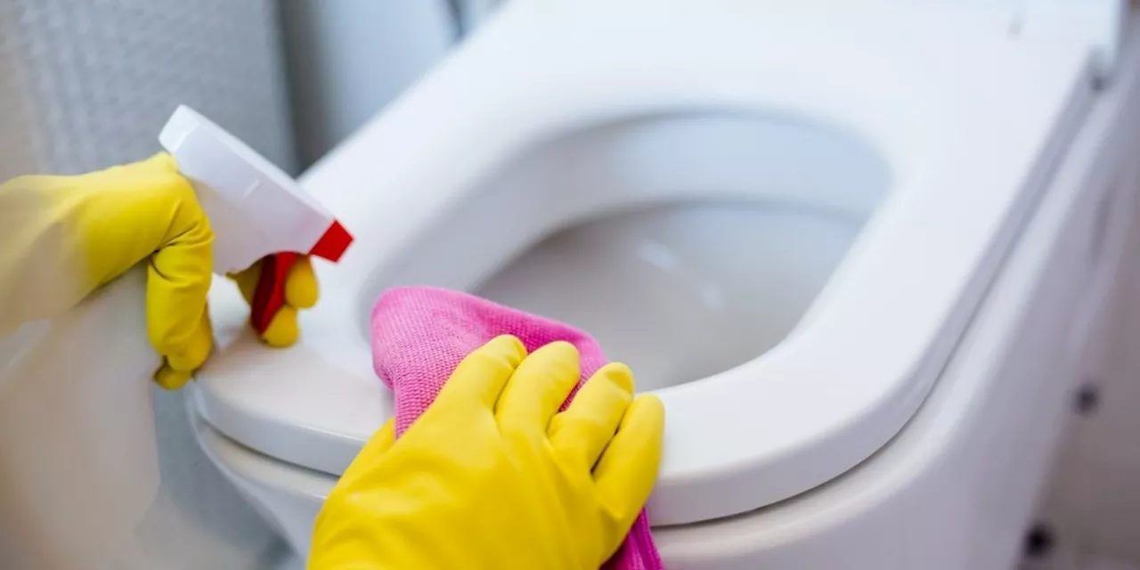 7 Things You Touch Every Day That Are Filthier Than Your Toilet Seat