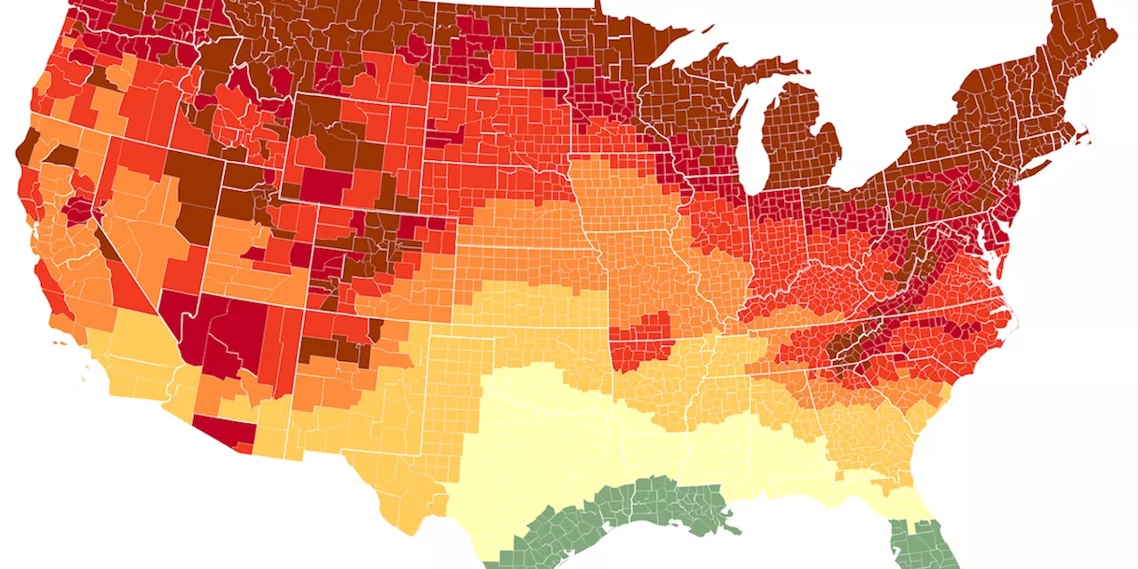 Fall Foliage 2024: Map Shows Peak Foliage in Your Region