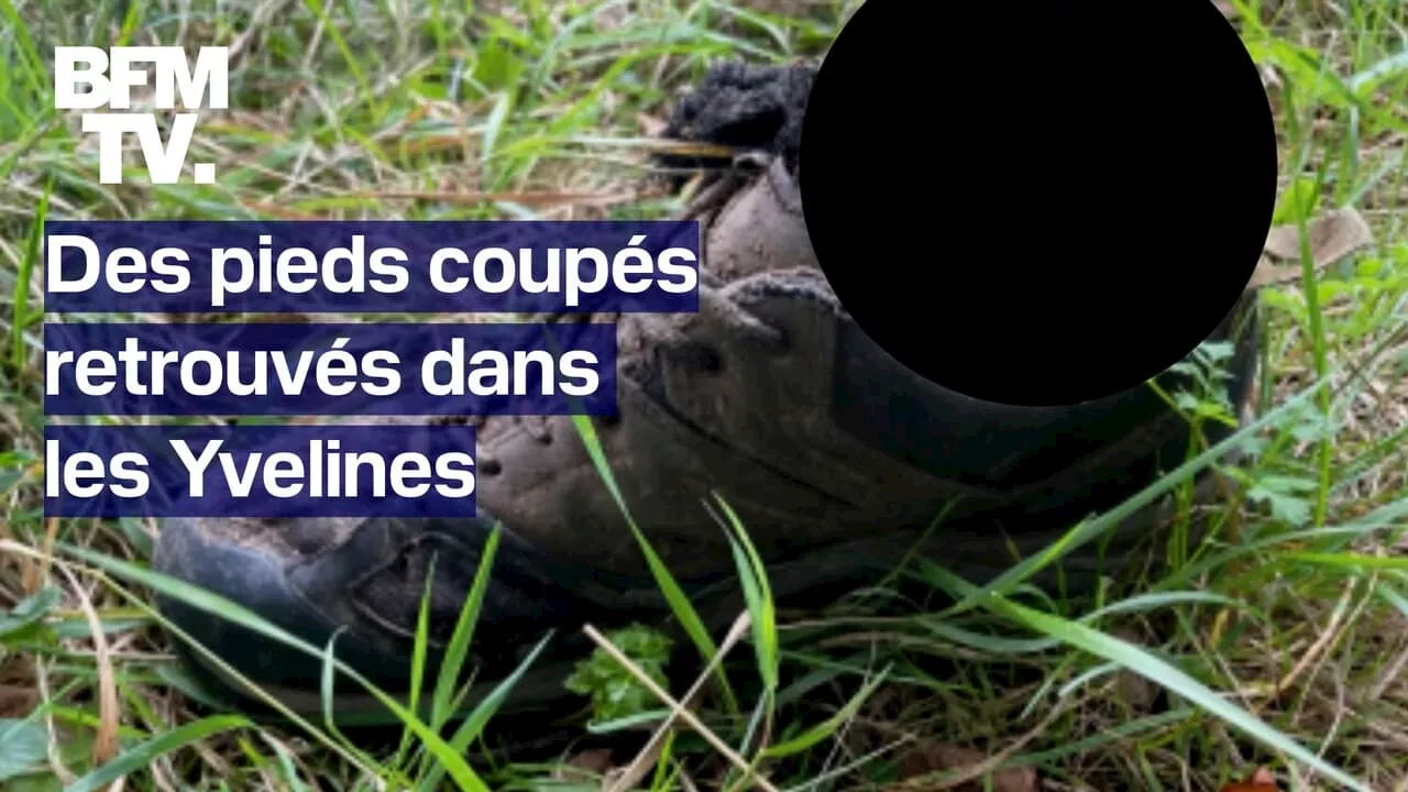 Des pieds humains retrouvés découverts en bord de Seine dans les Yvelines