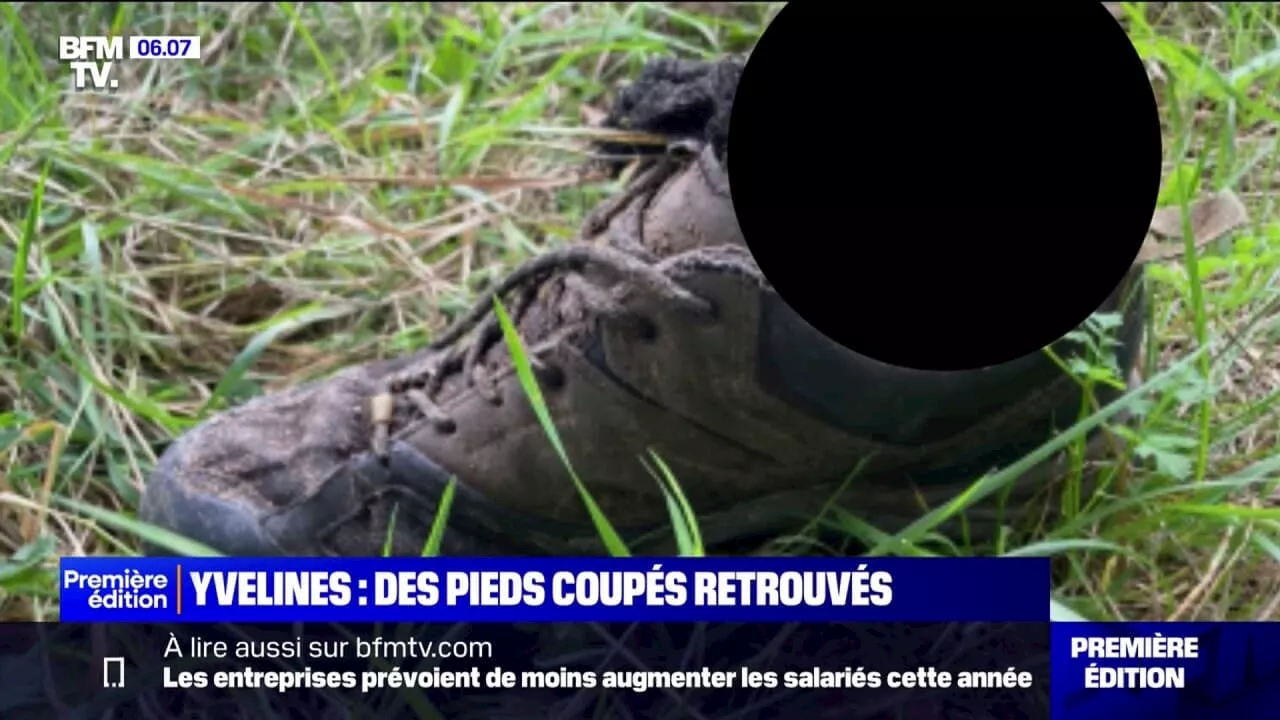 Yvelines: deux pieds humains retrouvés sur les bords de Seine par une promeneuse