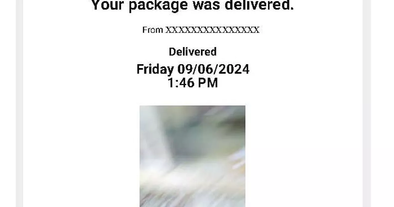 Hey Pandas, Show Us Your Most Ridiculous Photo Of A Delivered Package