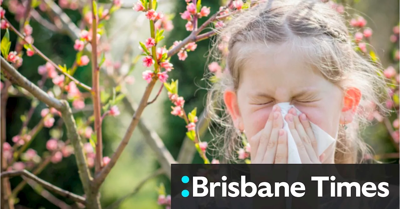 Nothing to sneeze at: why so many Australians suffer from hay fever