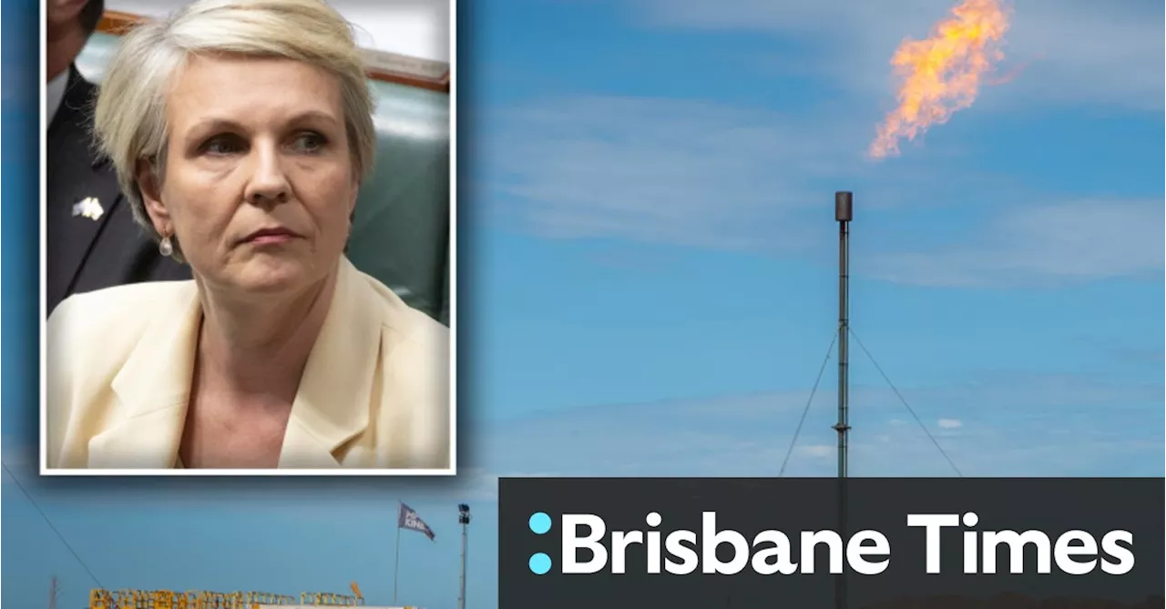 Plibersek intervenes in giant ‘climate bomb’ gas project