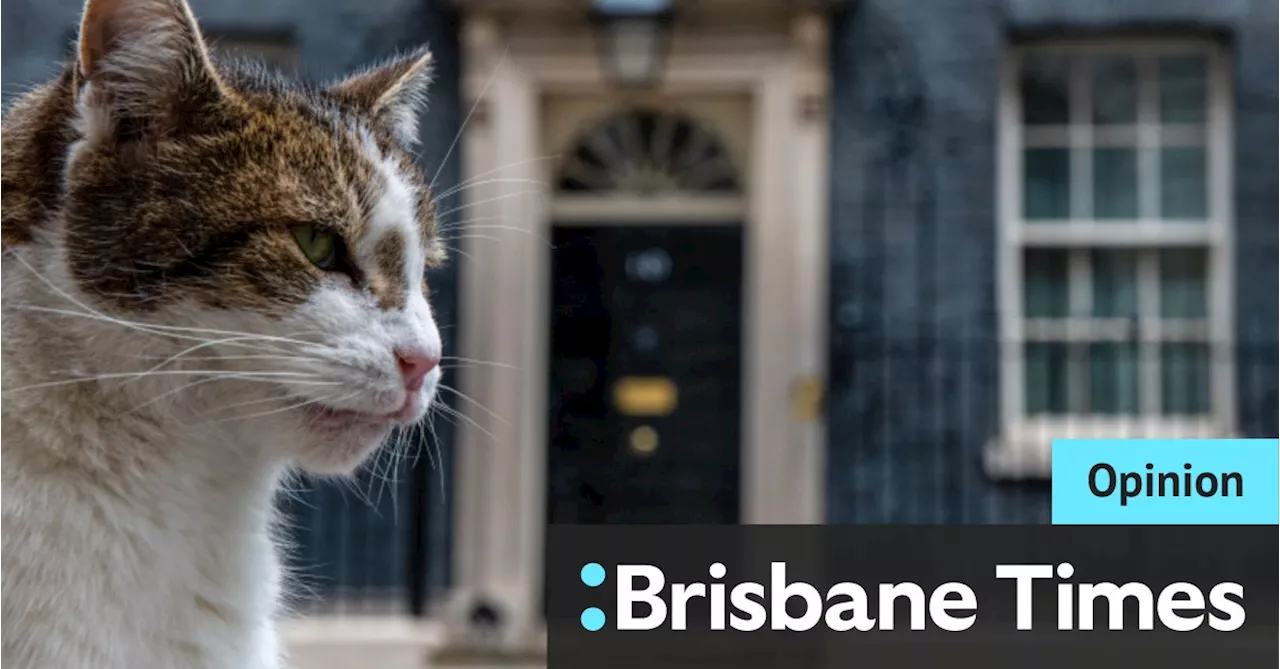 Why Larry the cat of 10 Downing Street wishes Starmer hadn’t won the election