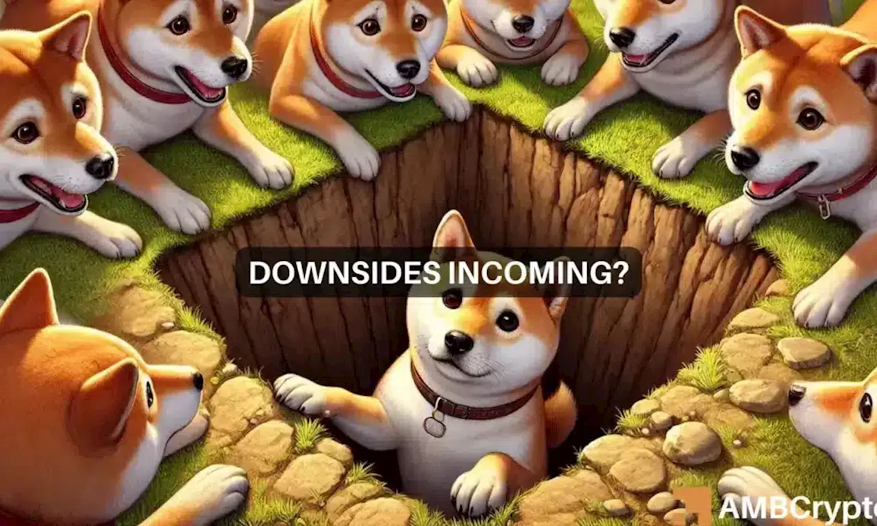 Shiba Inu price prediction – SHIB to reverse its 2024 gains now?