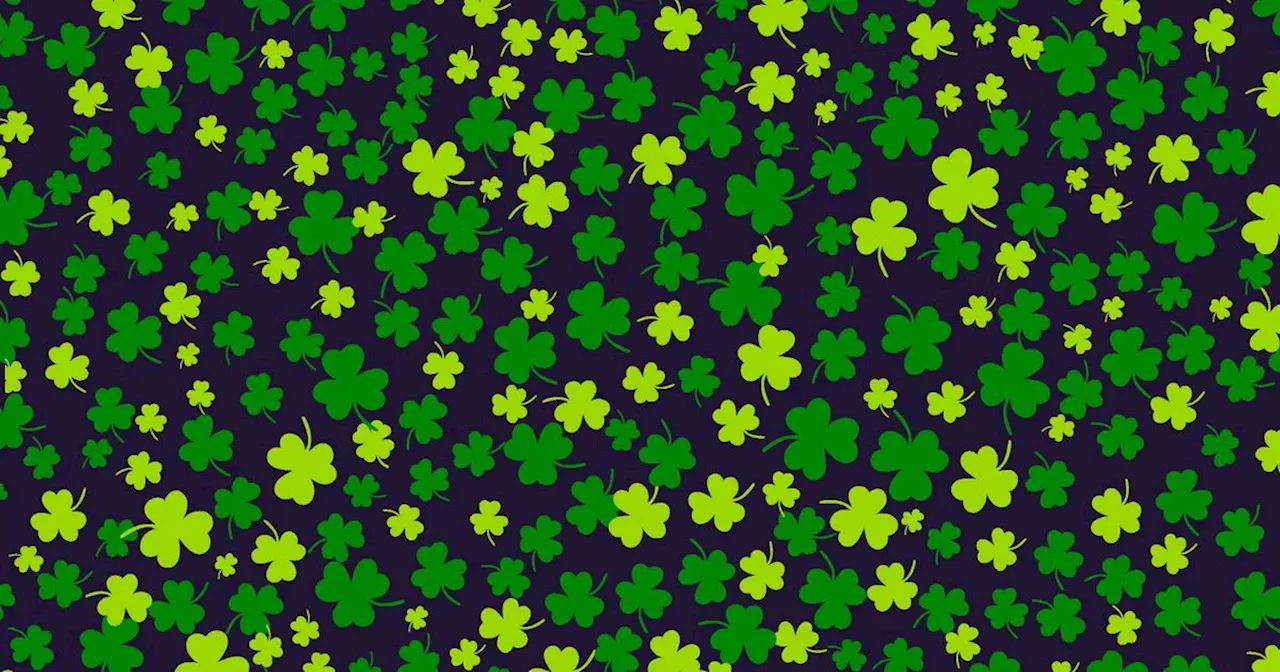 You have 20/20 vision if you can spot four-leaf clover in just 30 seconds