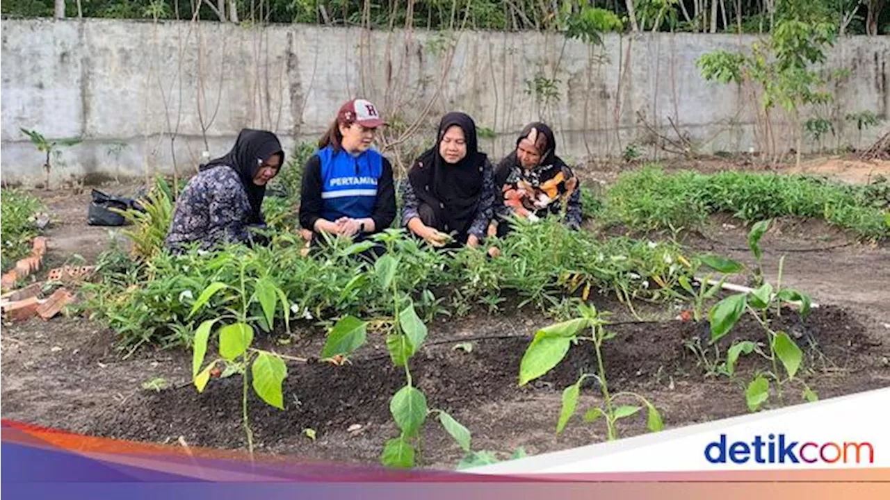 Ibu-ibu Ini Sulap Tanaman Obat Jadi Produk Herbal, Cuan Jutaan Per Bulan