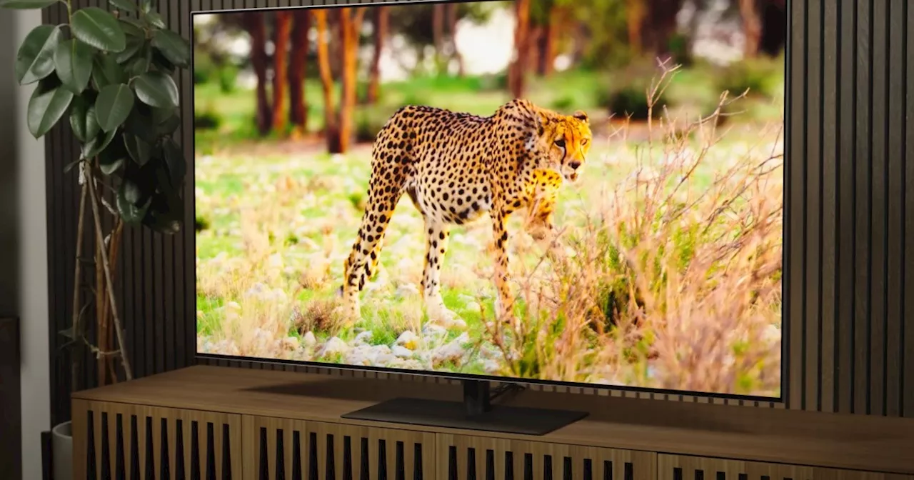 What is OLED TV? The premium display technology explained