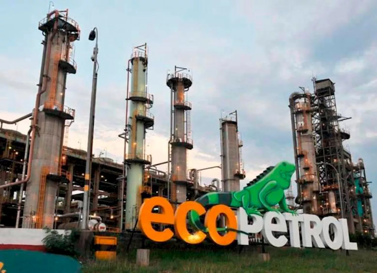 Tutela ordena a Ecopetrol y Petrobras detener explotación y exploración de gas en pozo Uchuva 2