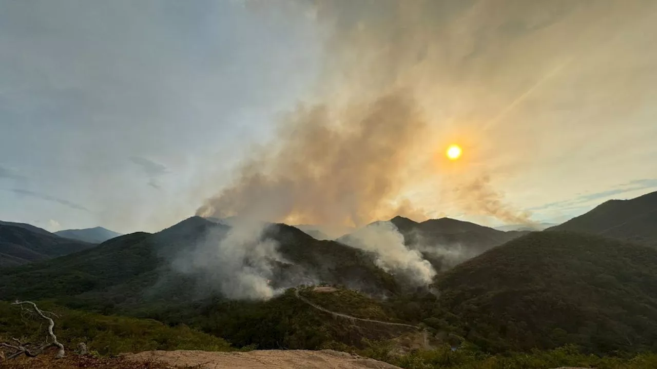 Incendios Forestales Amenazan Colombia Amid High Temperatures and Drought