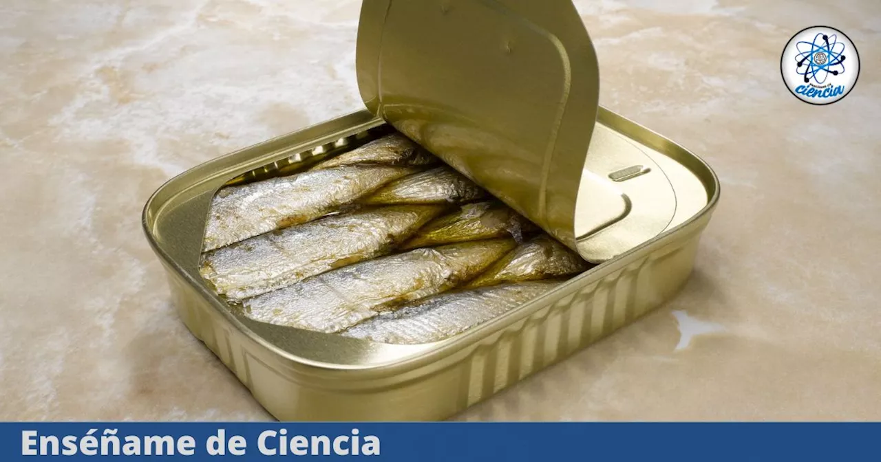 La marca de sardinas en aceite que SÍ recomiendan consumir los expertos