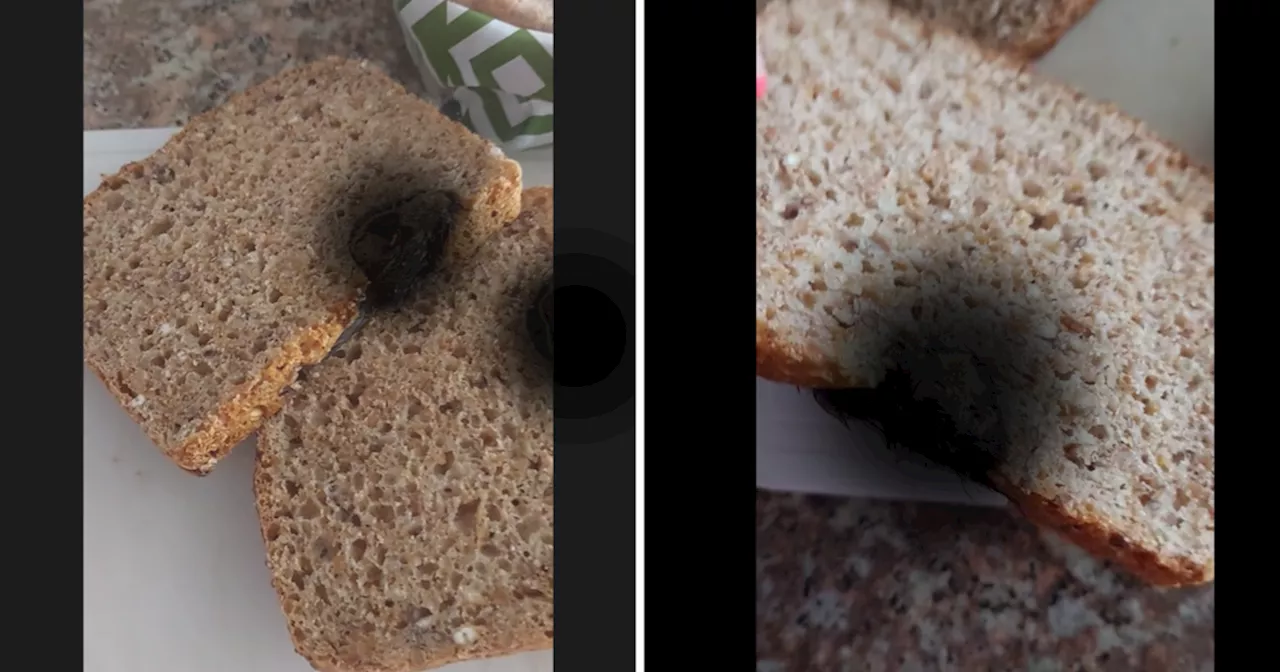 Sasko suspends production at facility where mouse was baked into woman's loaf of bread