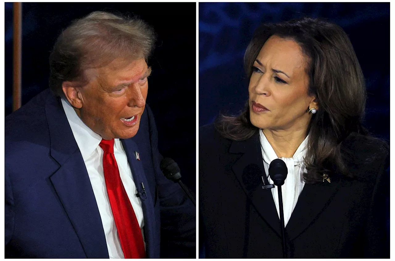 Goldman Sachs CEO Plays Down Impact of Economic Analysis Cited by Kamala Harris