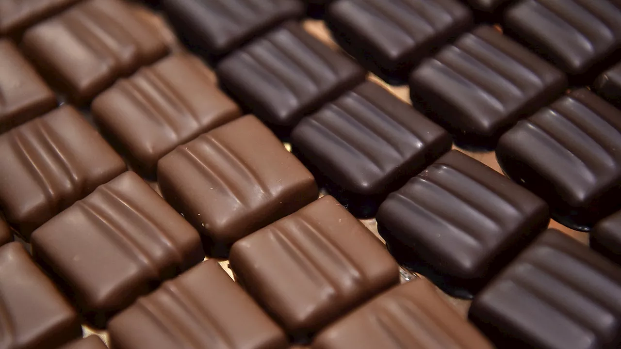 Dark Chocolate vs. Milk Chocolate: Which Is Better For You?