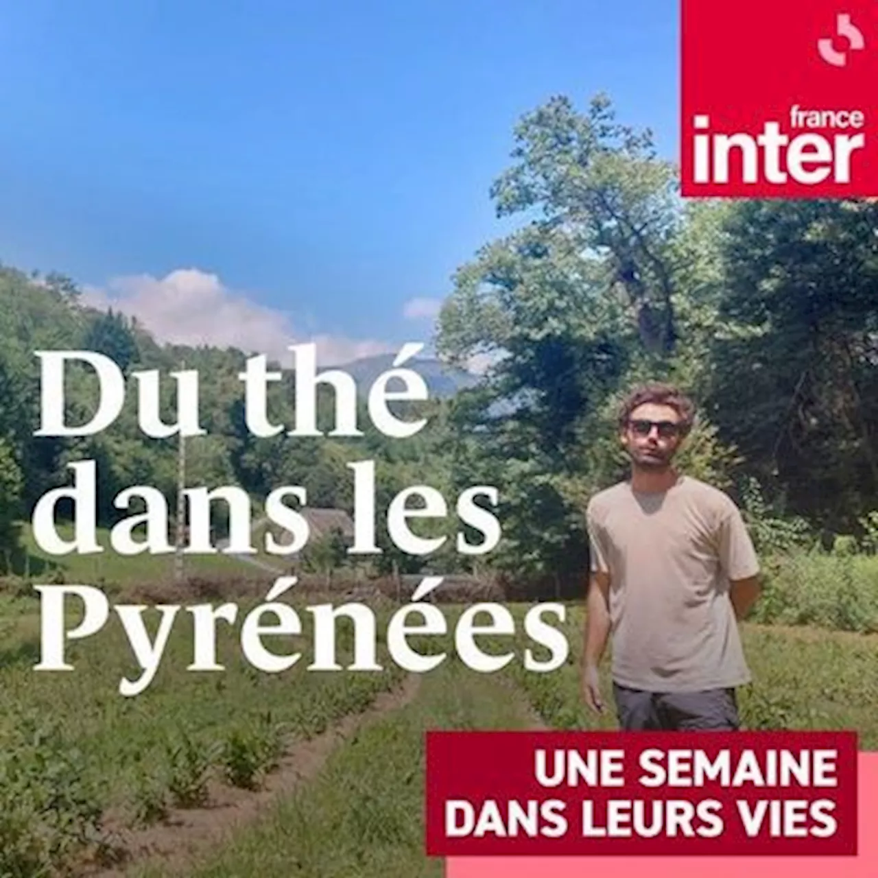 Du thé dans les Pyrénées : un podcast à écouter en ligne