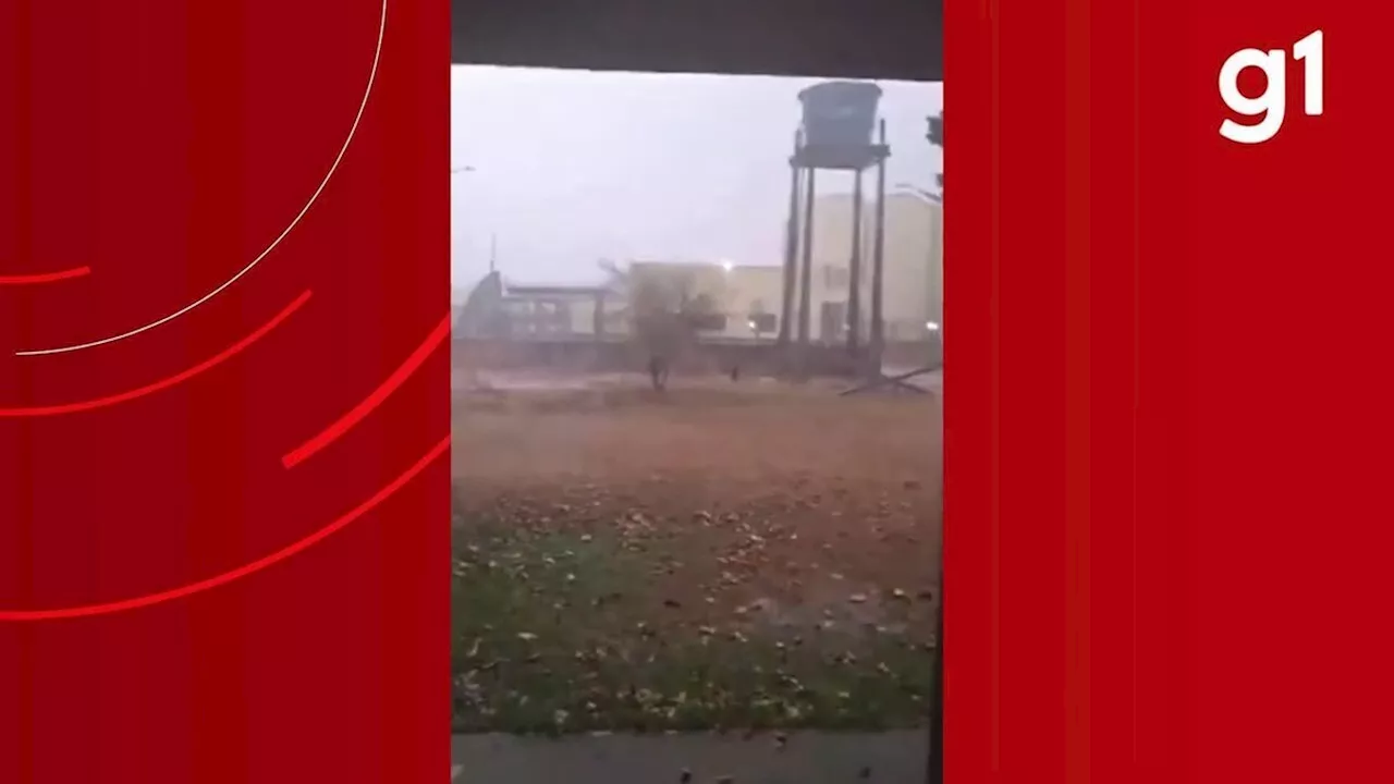 Em meio à seca severa: moradores comemoram chegada da chuva em MT; vídeo