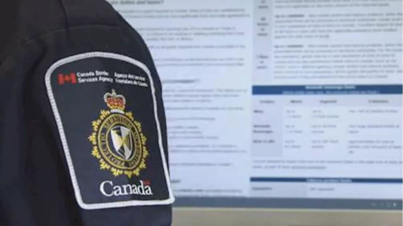 Asylum seeker claims in Canada reach record high | Watch News Videos Online