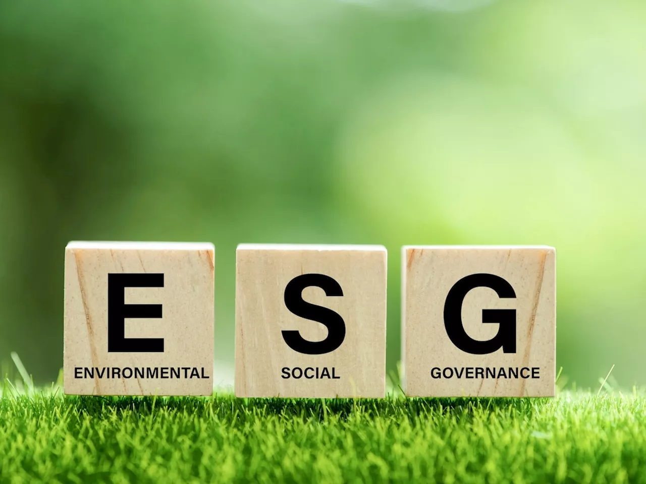 CFA Institute looks to simplify ESG investing with new fund classifications