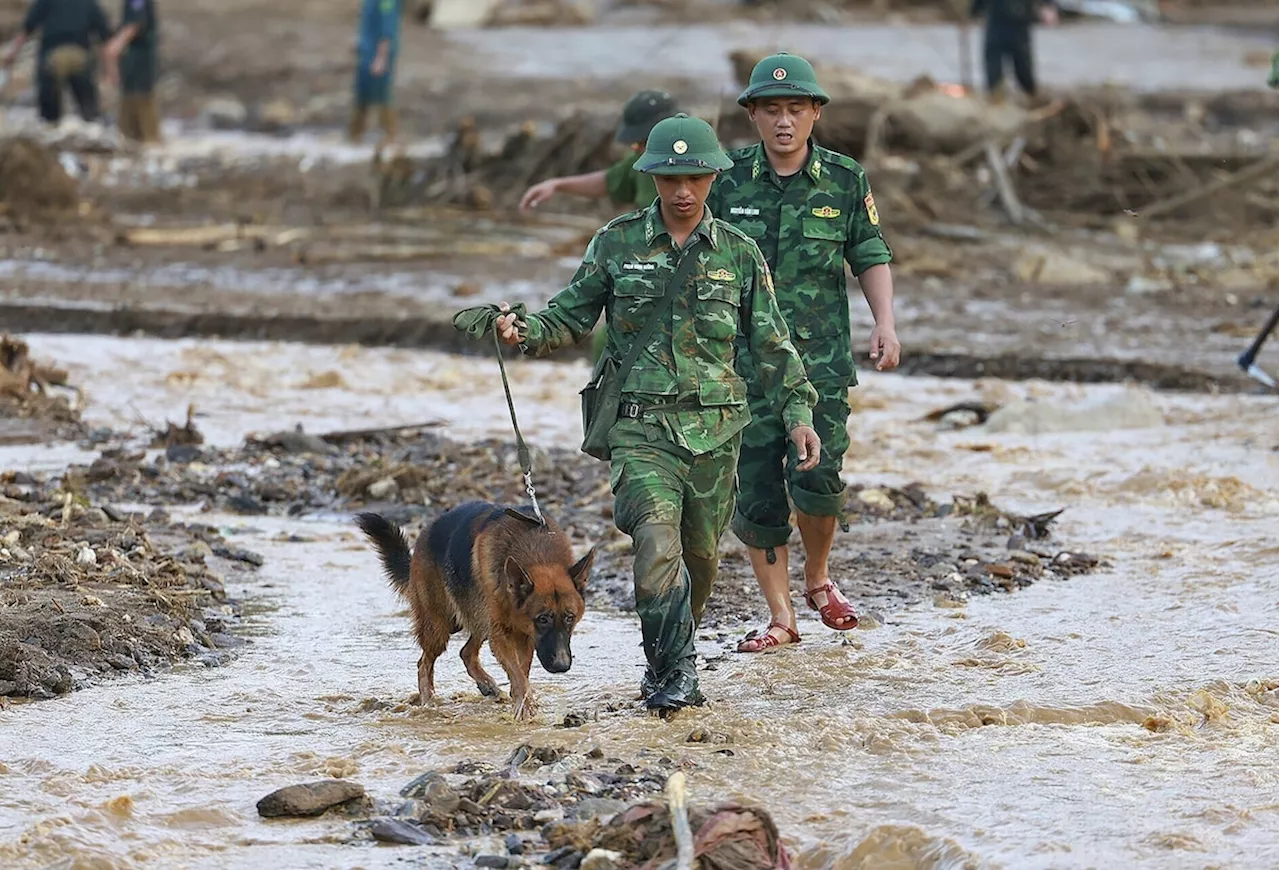 Vietnam typhoon death toll rises to 233 as more bodies found in areas hit by landslides and floods