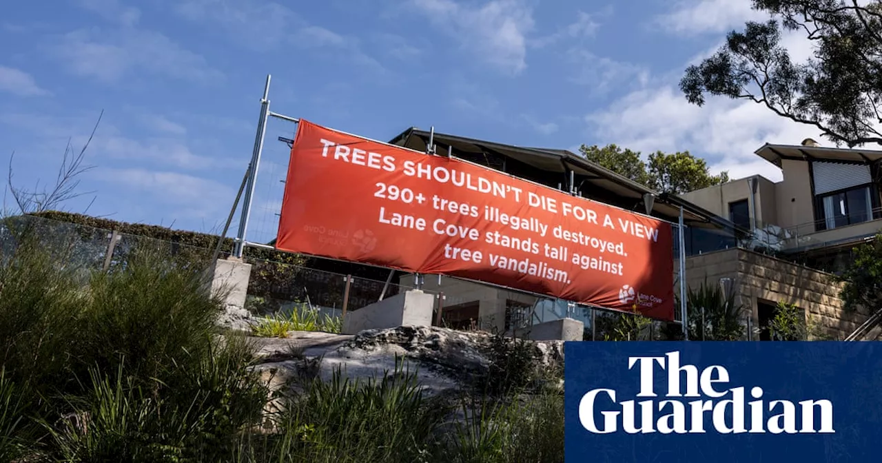 Huge banner scuppers prime Sydney harbour view gained by killing of 300 trees