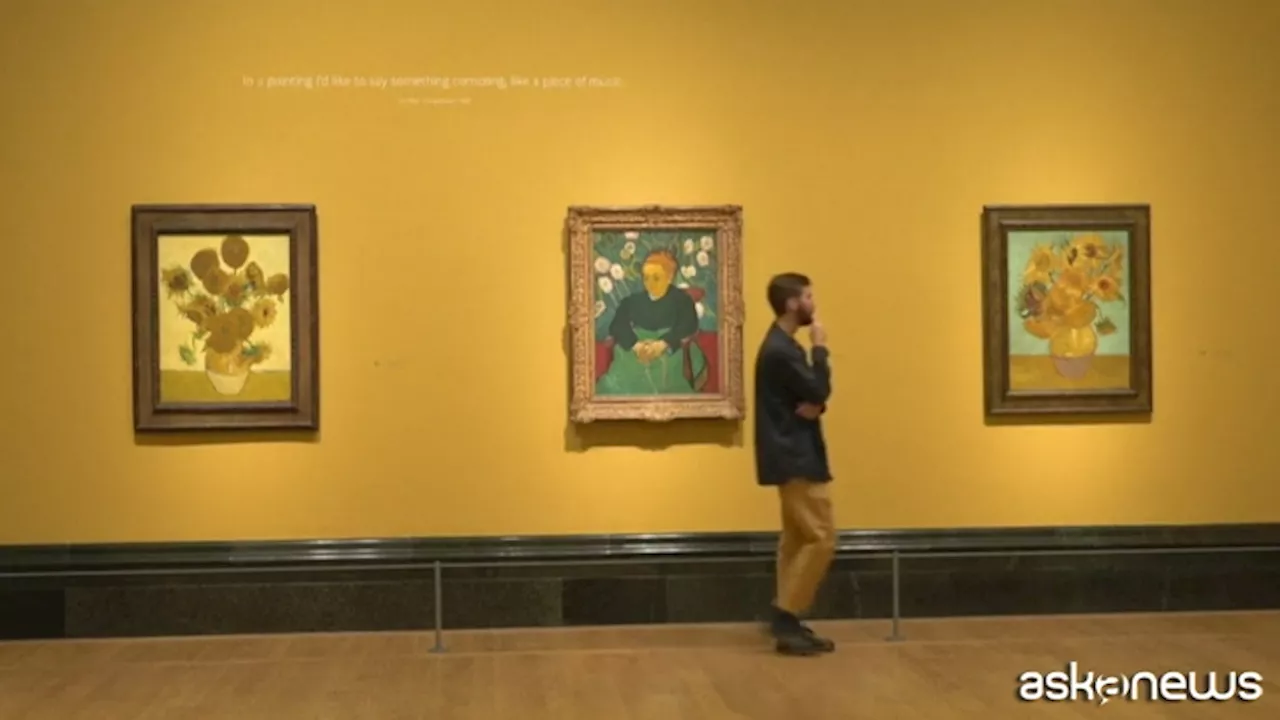 I 'Girasoli' e 'La Berceuse' di Van Gogh: capolavori in mostra a Londra