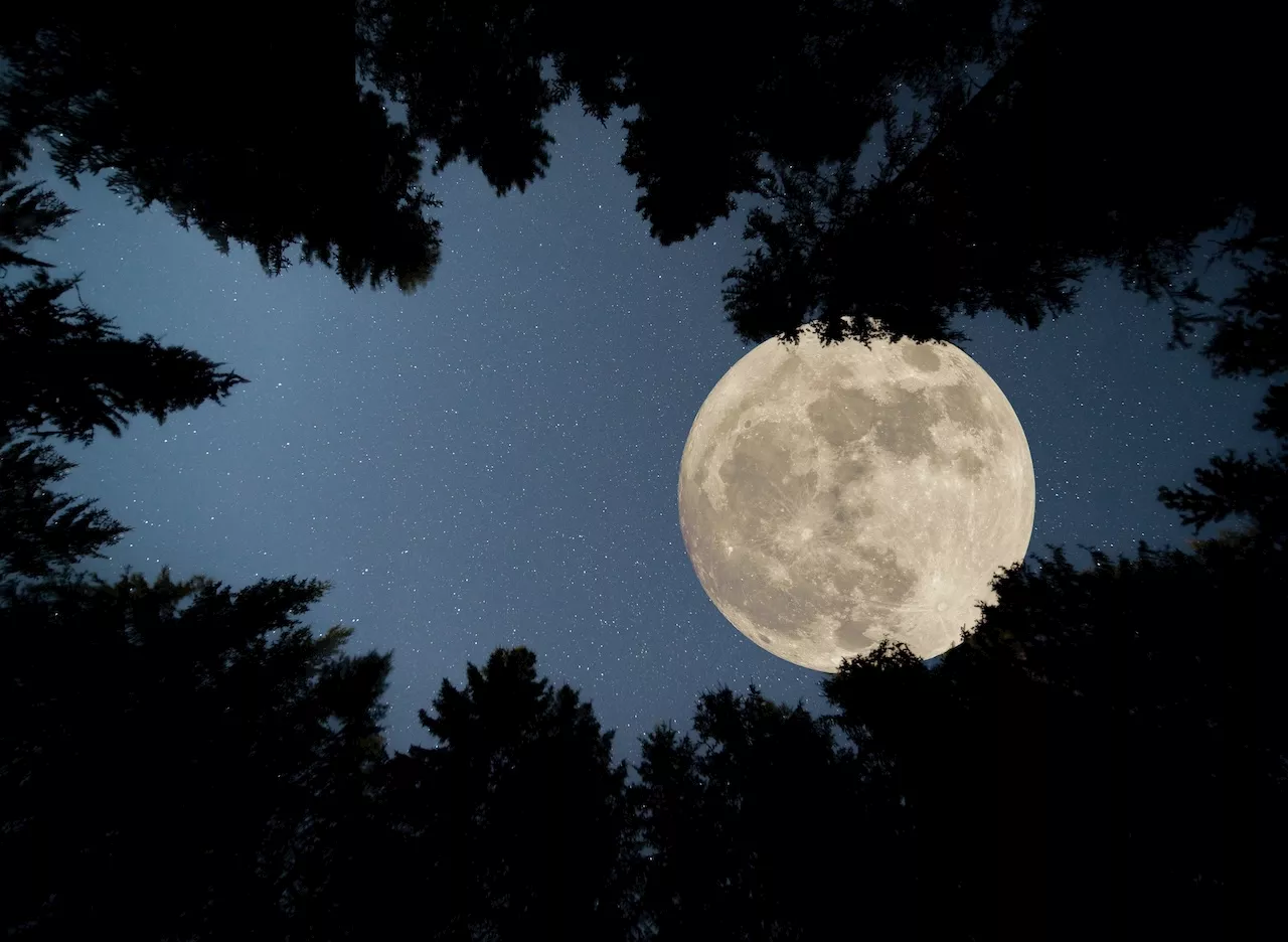 Superluna di settembre, eclissi parziale e il 22 l'equinozio d'autunno