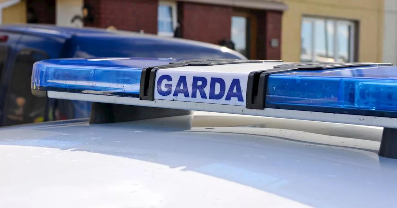 Gardai warn about ‘misinformation and fake news’ over incident at Dublin school