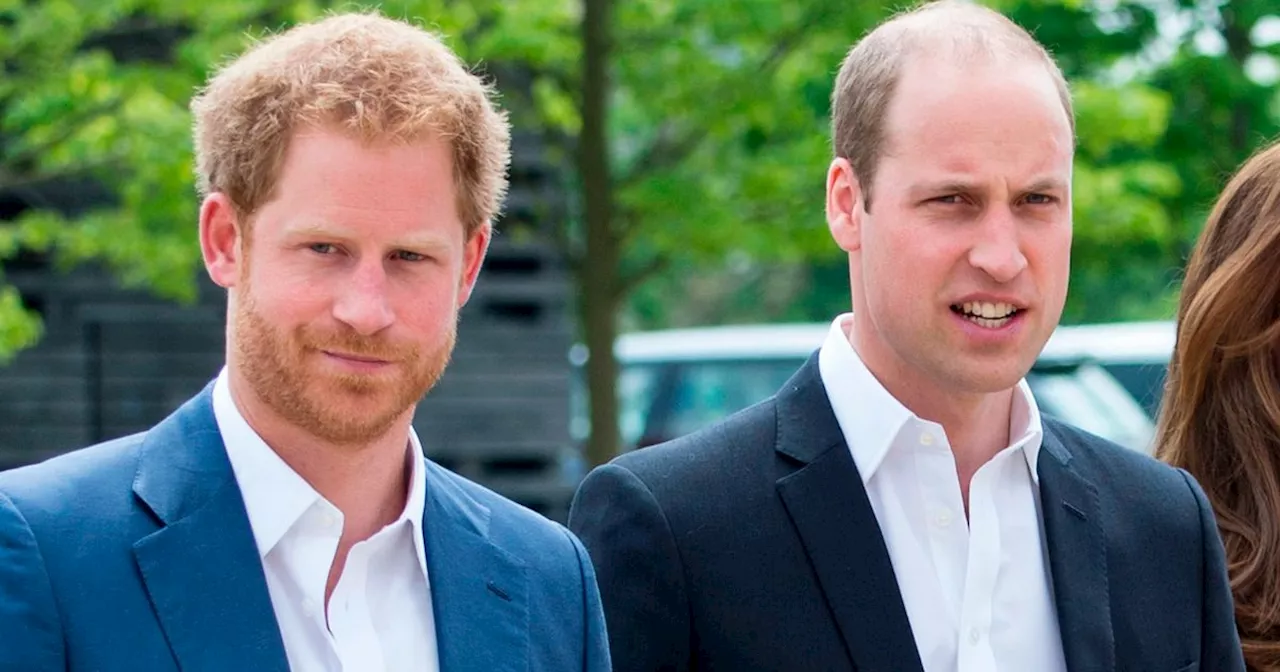 Prince William 'sent last-minute text to Prince Harry in olive branch move'