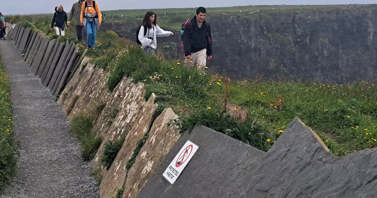 Clare County Council seeking to take over management of Cliffs of Moher walking trail after recent deaths