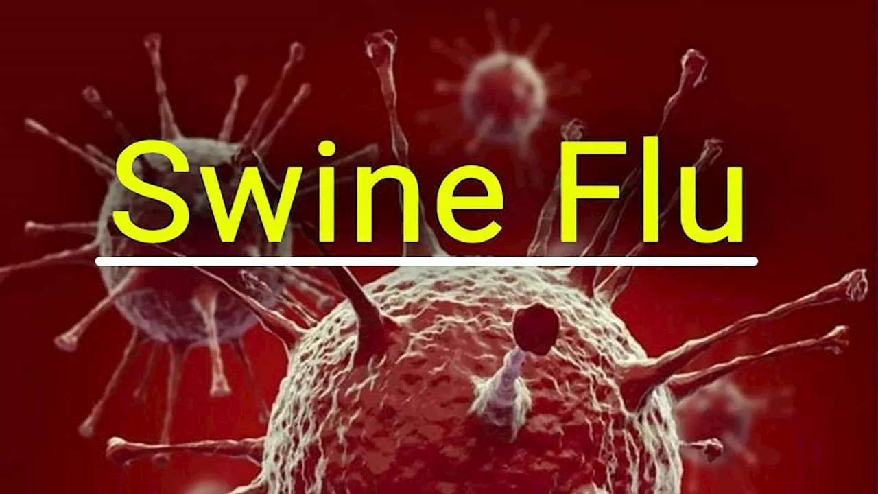 यूपी में Swine Flu से मौत का सिलसिला शुरू, खौफजदा लोग; डॉक्‍टरों ने कहा- चार लक्षणों को कभी मत करना नजरअंदाज