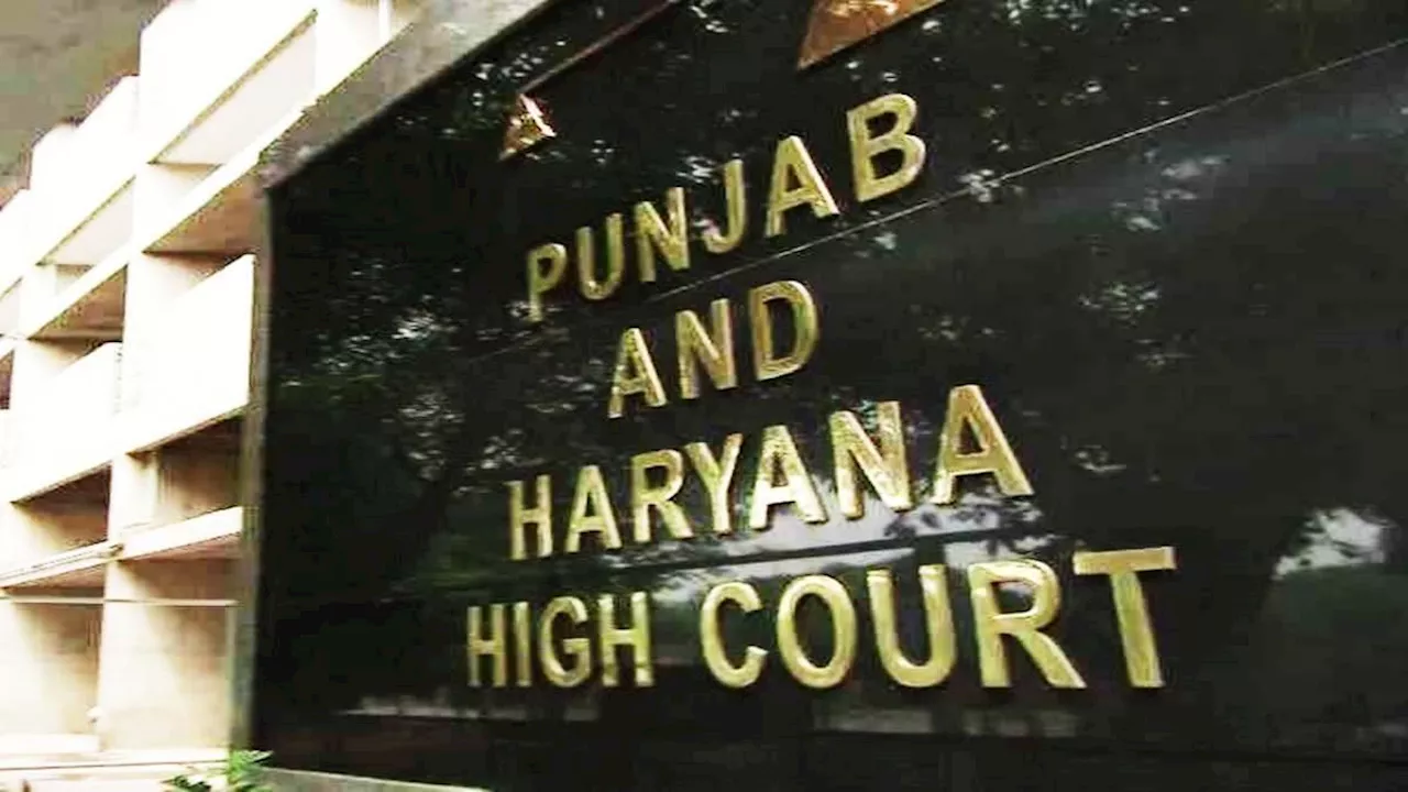 Punjab Haryana High Court: जालंधर में दो भाइयों की आत्महत्या के मामले में HC का एसआईटी को आदेश- जांच को समय के साथ करें पूरा