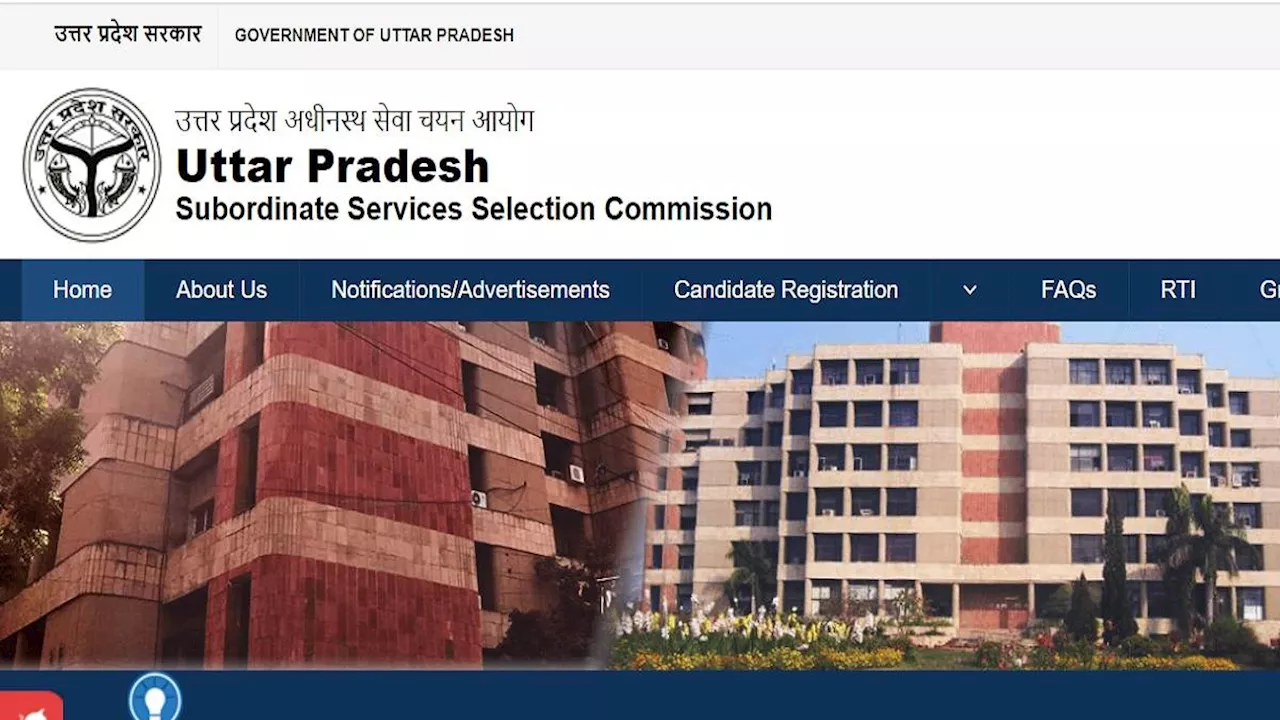 UPSSSC VDO Result: यूपीएसएसएससी वीडीओ भर्ती का फाइनल रिजल्ट घोषित, 1950 अभ्यर्थियों का हुआ चयन, लिस्ट यहां से डाउनलोड