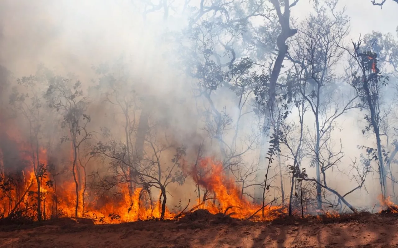 Post enganoso usa vídeo de queima controlada para negar o aquecimento global