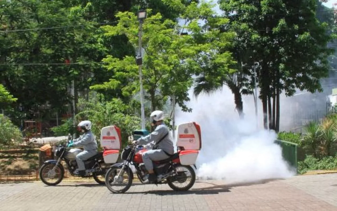 São Gonçalo segue com ações de combate ao Aedes aegypti