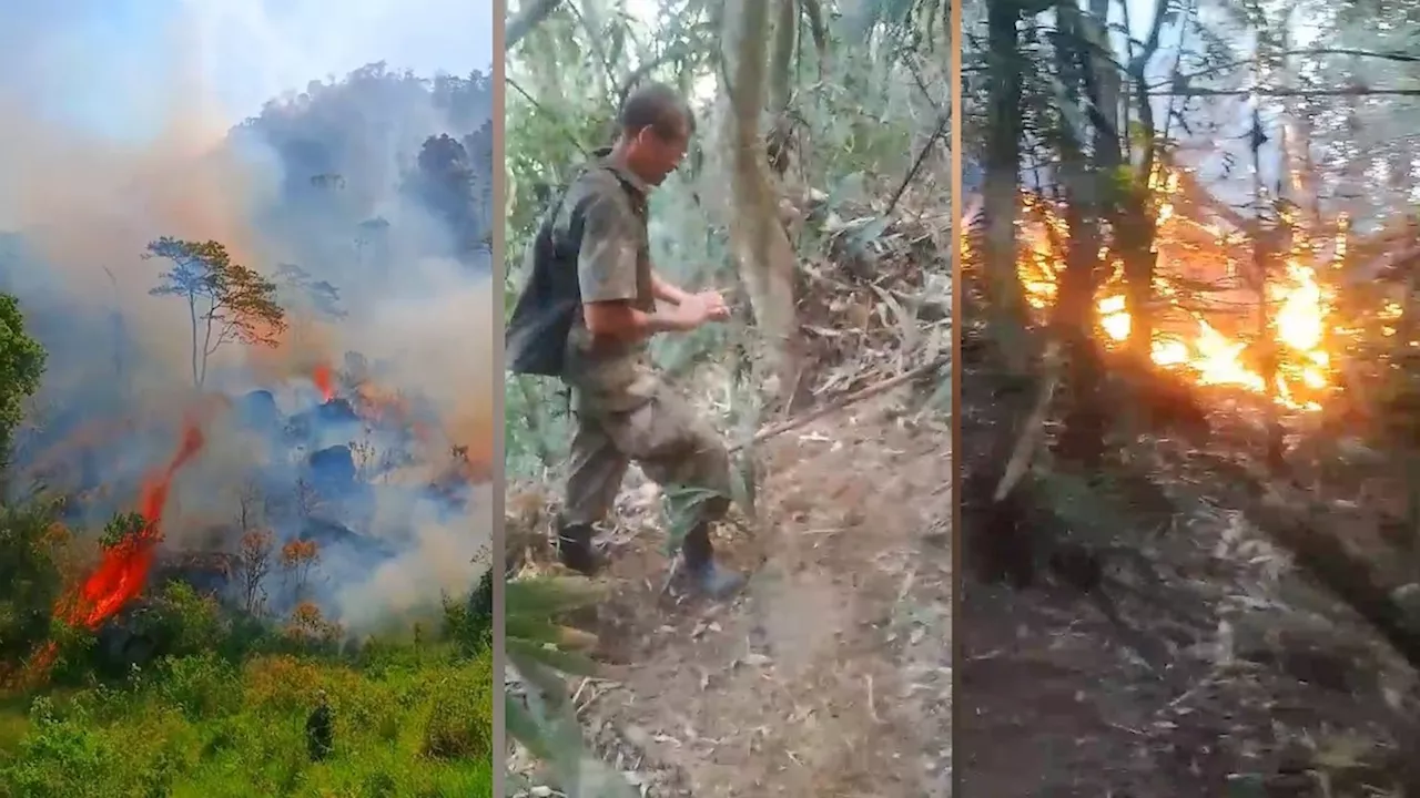 Incêndio destrói mata de quilombo em Mangaratiba pela segunda vez esta semana