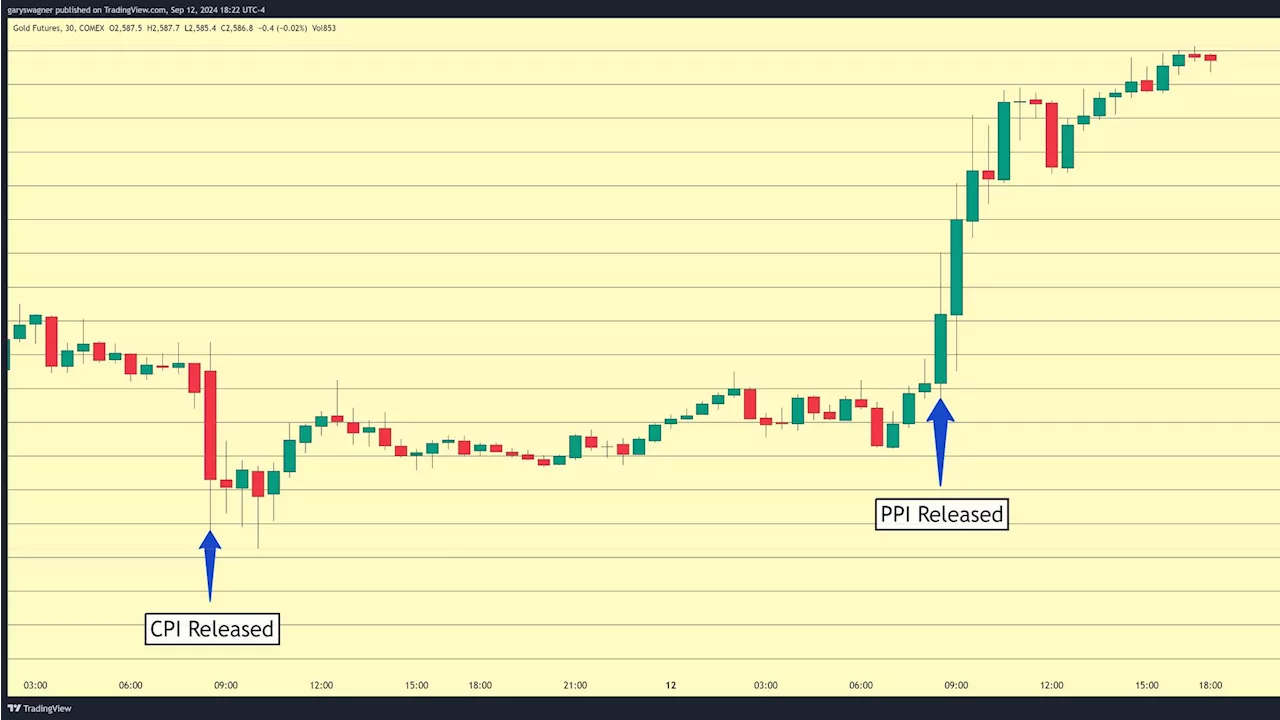 'Just because gold is at a new record high does not mean it can't go a lot higher’