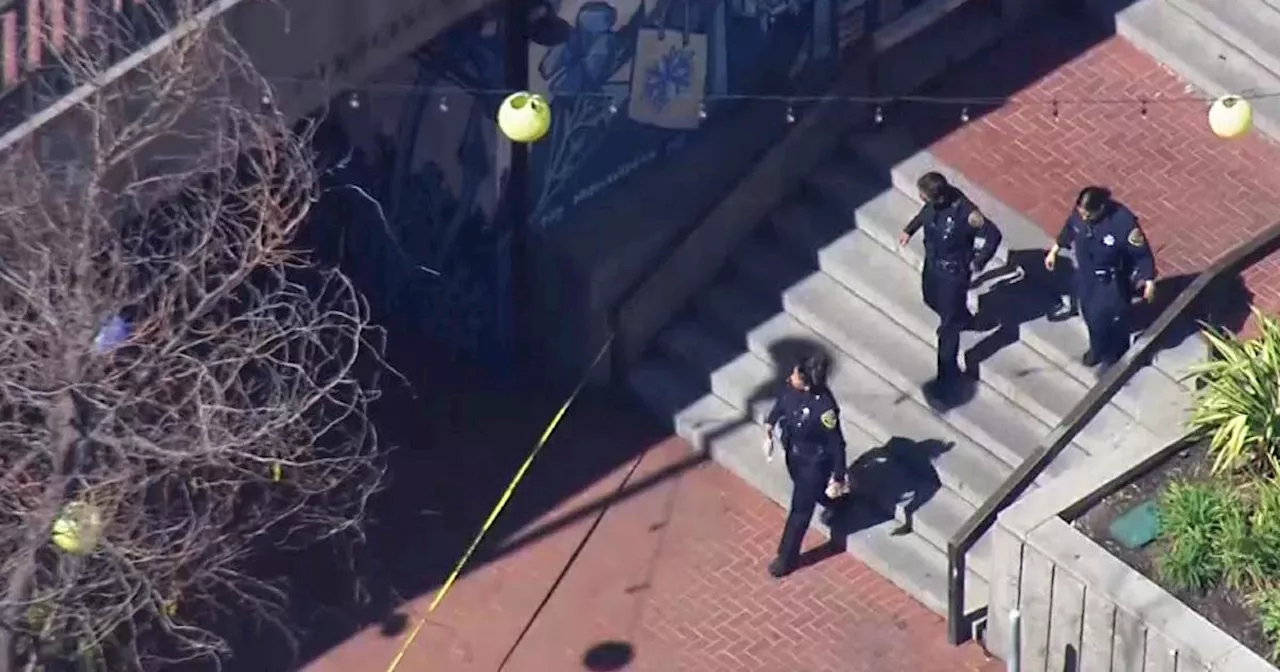 Police shooting at Powell Street BART Station in San Francisco injures 1; station reopened