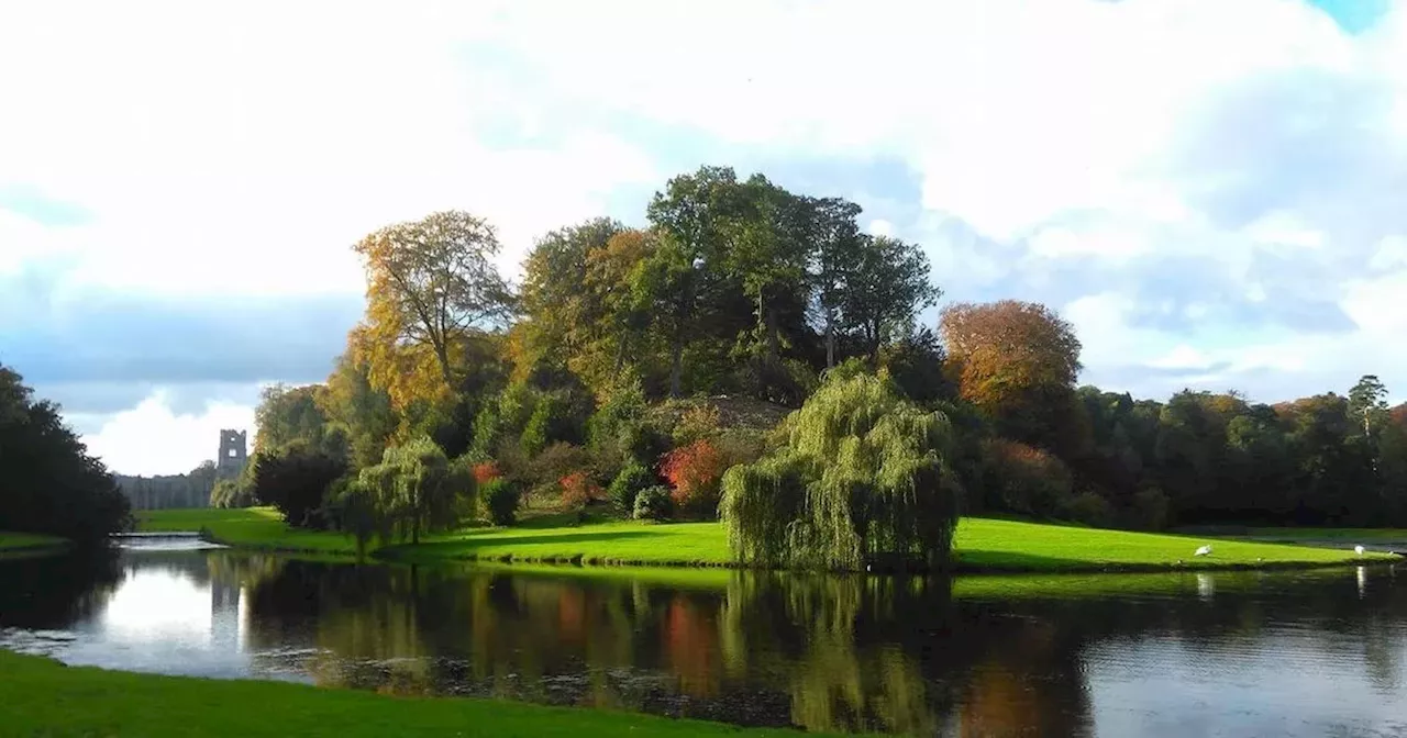Four amazing walks to enjoy autumn leaves and colours in all their glory