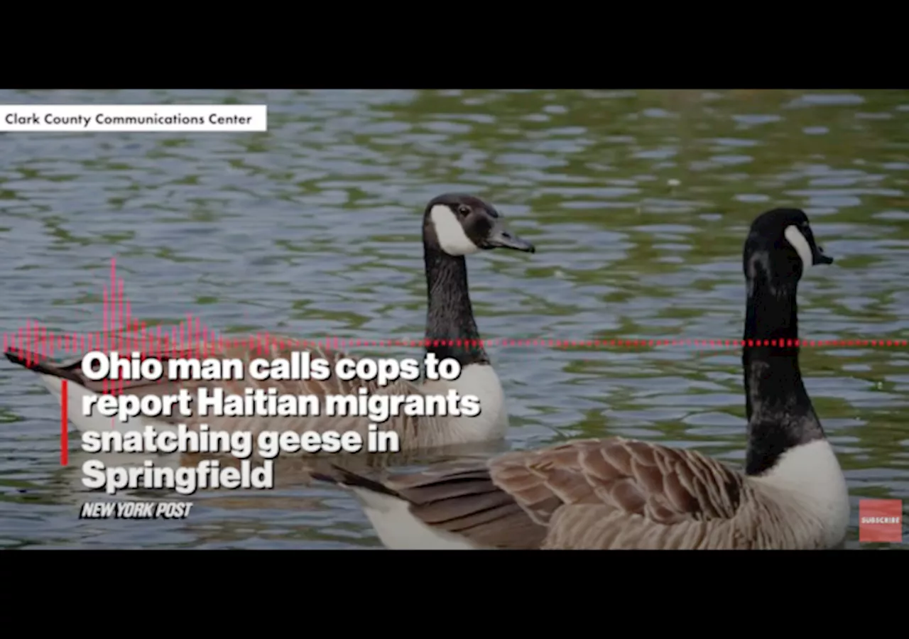 Did Springfield, OH, Man Call Police About Haitian Migrants Hunting Local Park’s Geese?