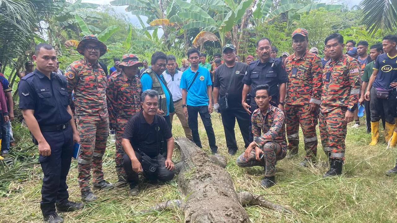 Terkam WNI di Malaysia Saat Mancing, Buaya Ditembak untuk Keluarkan Jasad dari Rahangnya