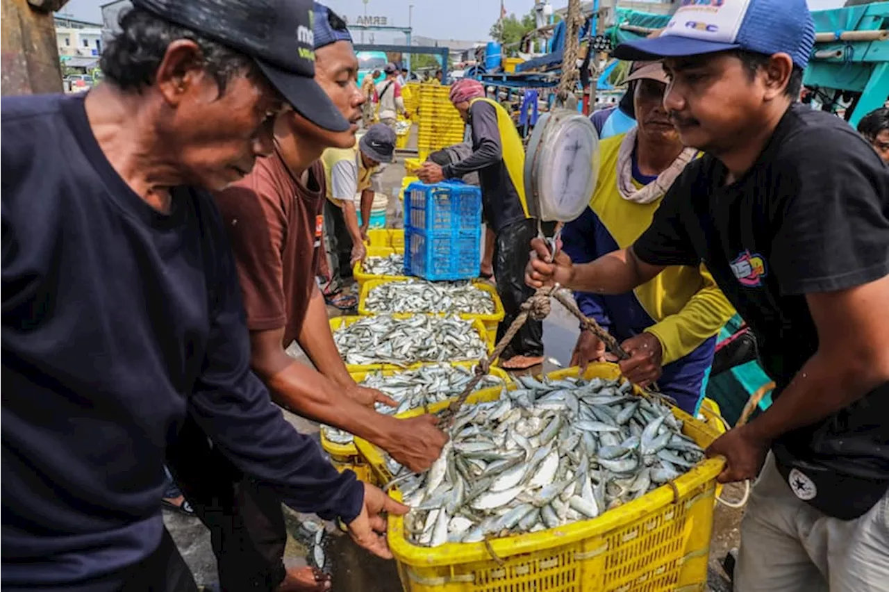 Dapat Anggaran Rp6,2 Triliun di 2025, KKP Dorong Swasembada Pangan Lewat Produksi Perikanan